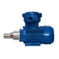 Magnet gear doing pump for delivery chemical liquids